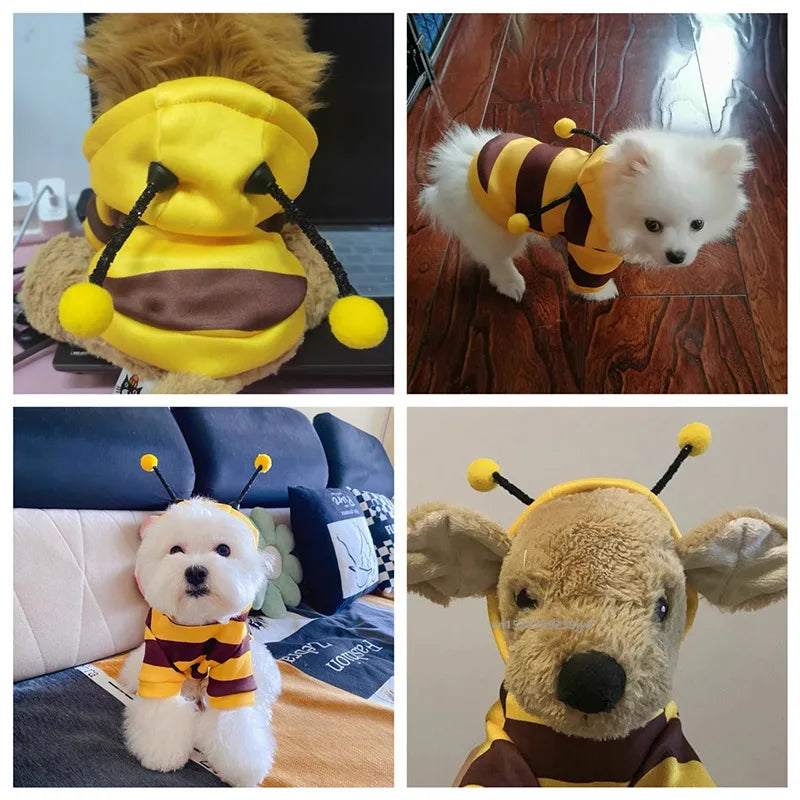 Cozy Bee Costume Pet Hoodie