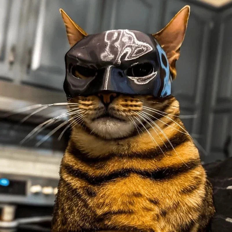 Superhero Cat Mask Costume