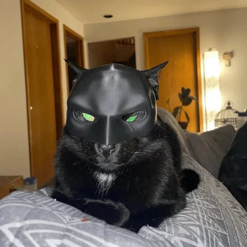 Superhero Cat Mask Costume